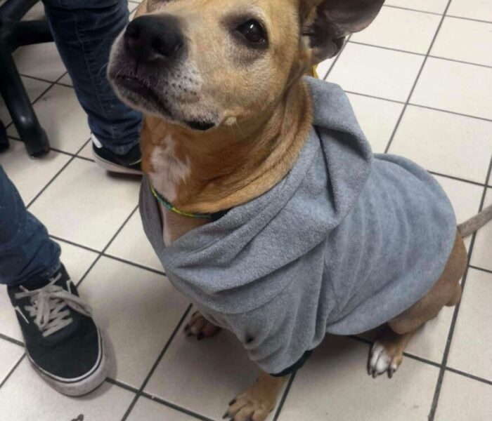 5b6e9cf26b5082ce2326a9daf2c5cbfd