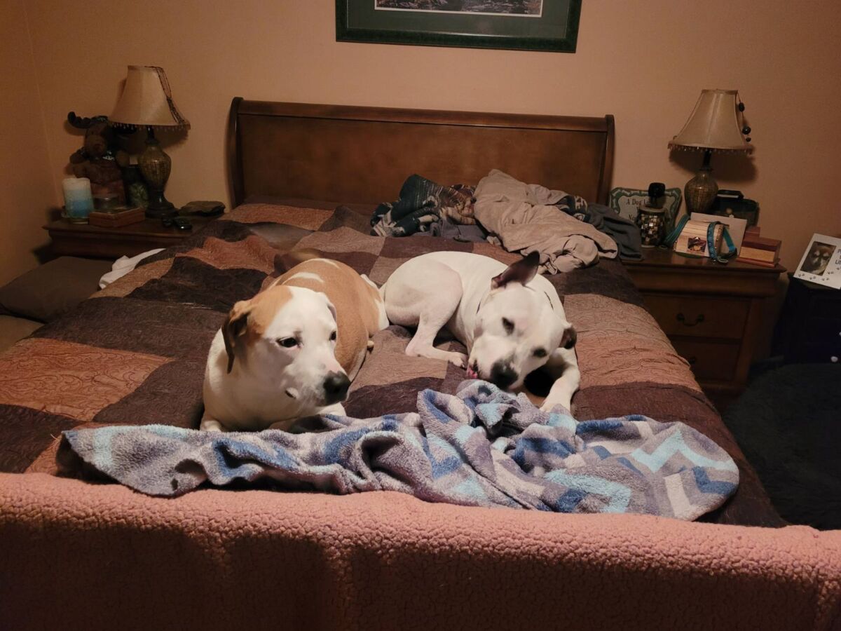 5edcffdIMG_20260112_193343_(1)69924f5ee4df6