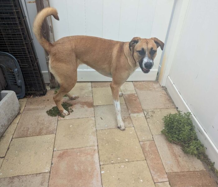 641438661_1427631248806917_580150140993037598_n