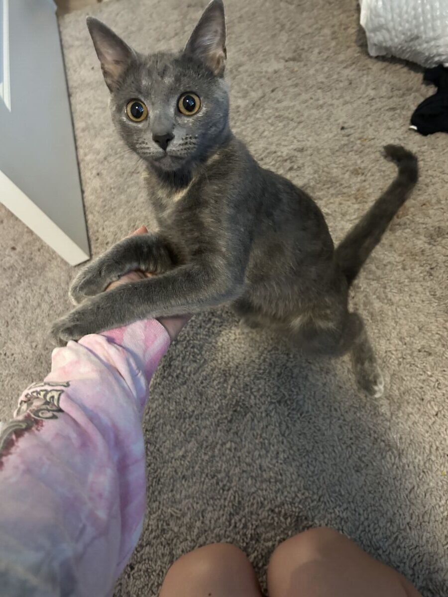 7ca8038IMG_7319698bd97cc3792 (1)