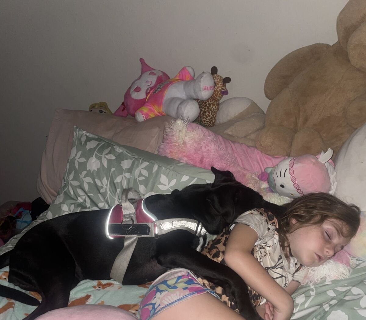 83203acTrixie1698c7e83281d4 (1)