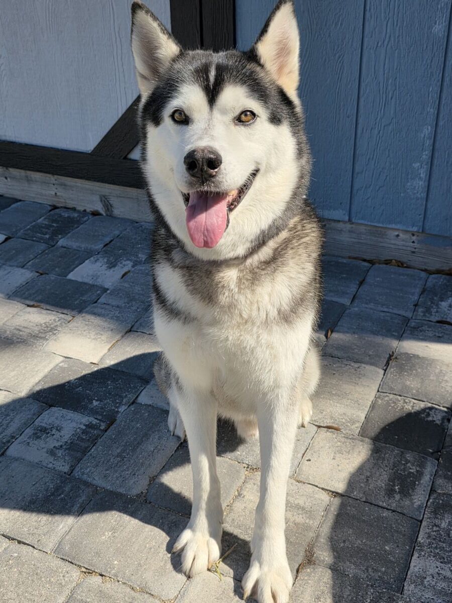 916cab520260203_121528699262917ce7b