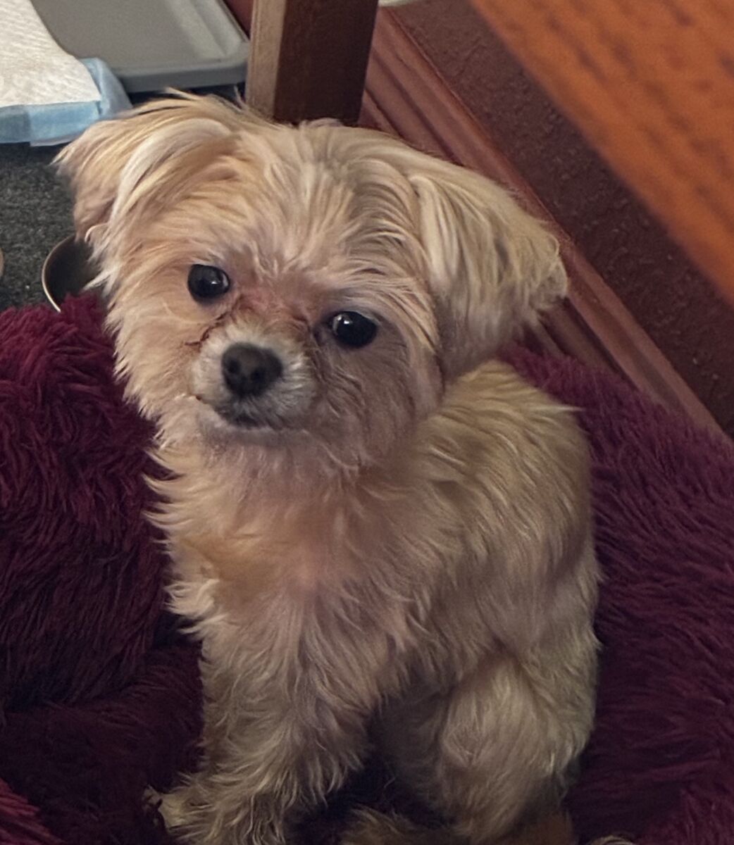 bb8d734IMG_1785698d19bb94938