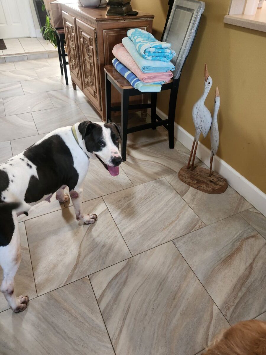 c6e3b0420260203_17022569a05dc7141fe