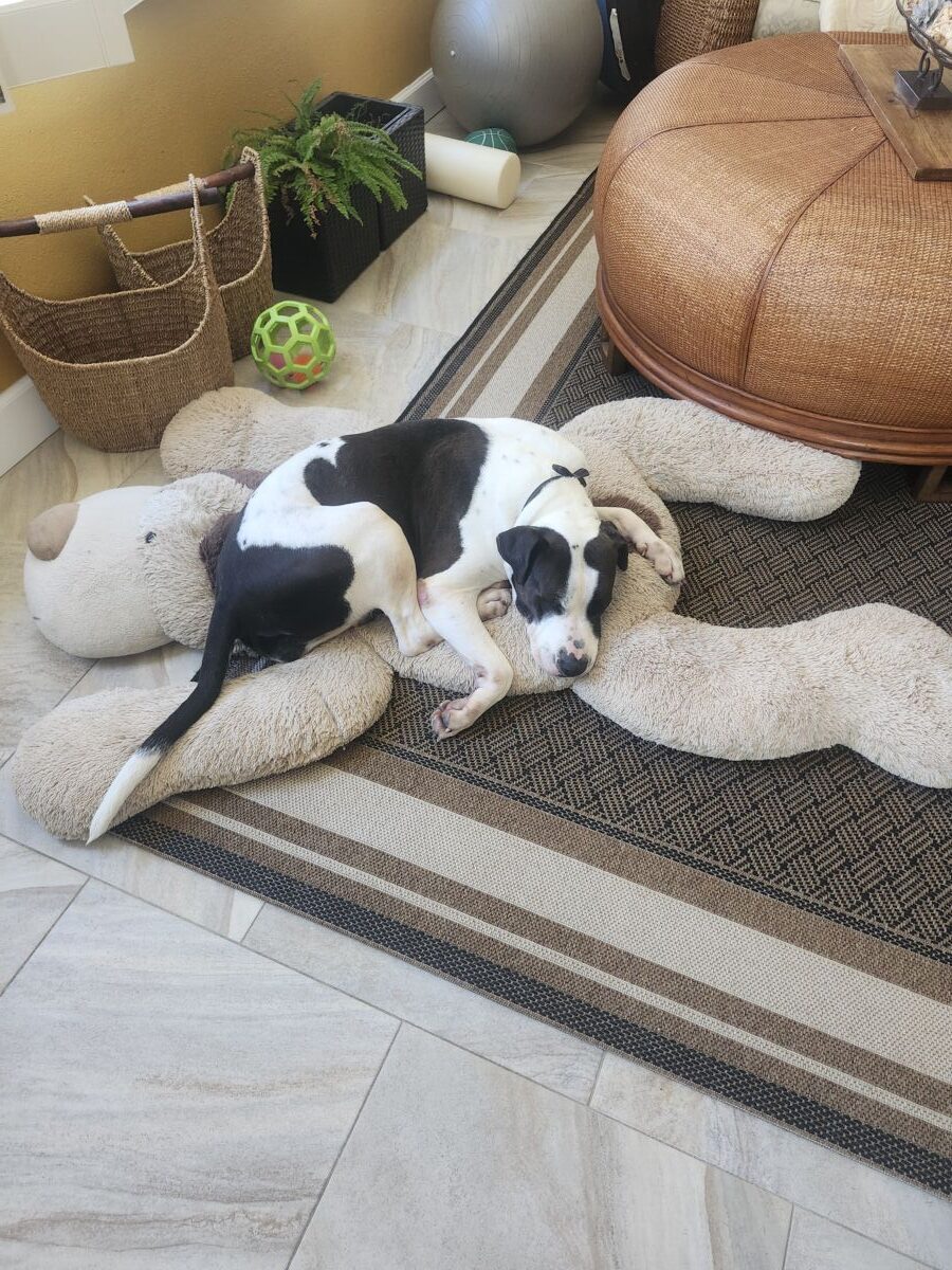 c6e5cc620260225_12251369a05dc7245a3