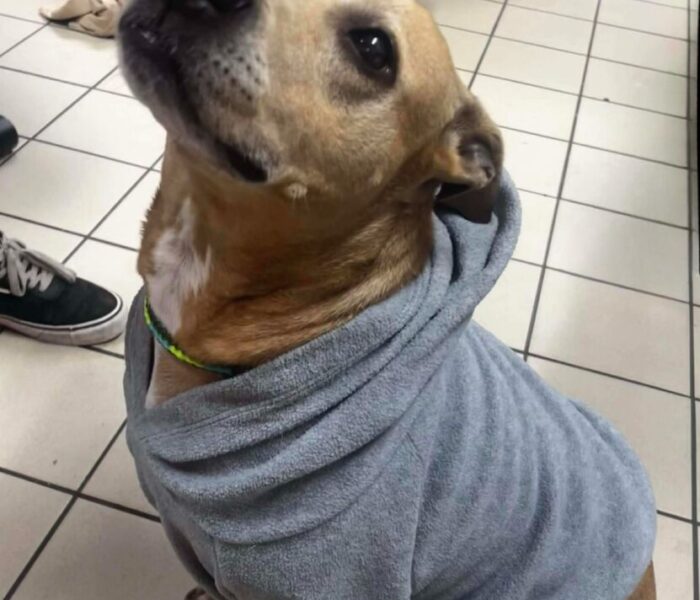 c79dd4ed50b231a4cdcb3a5c576434d5