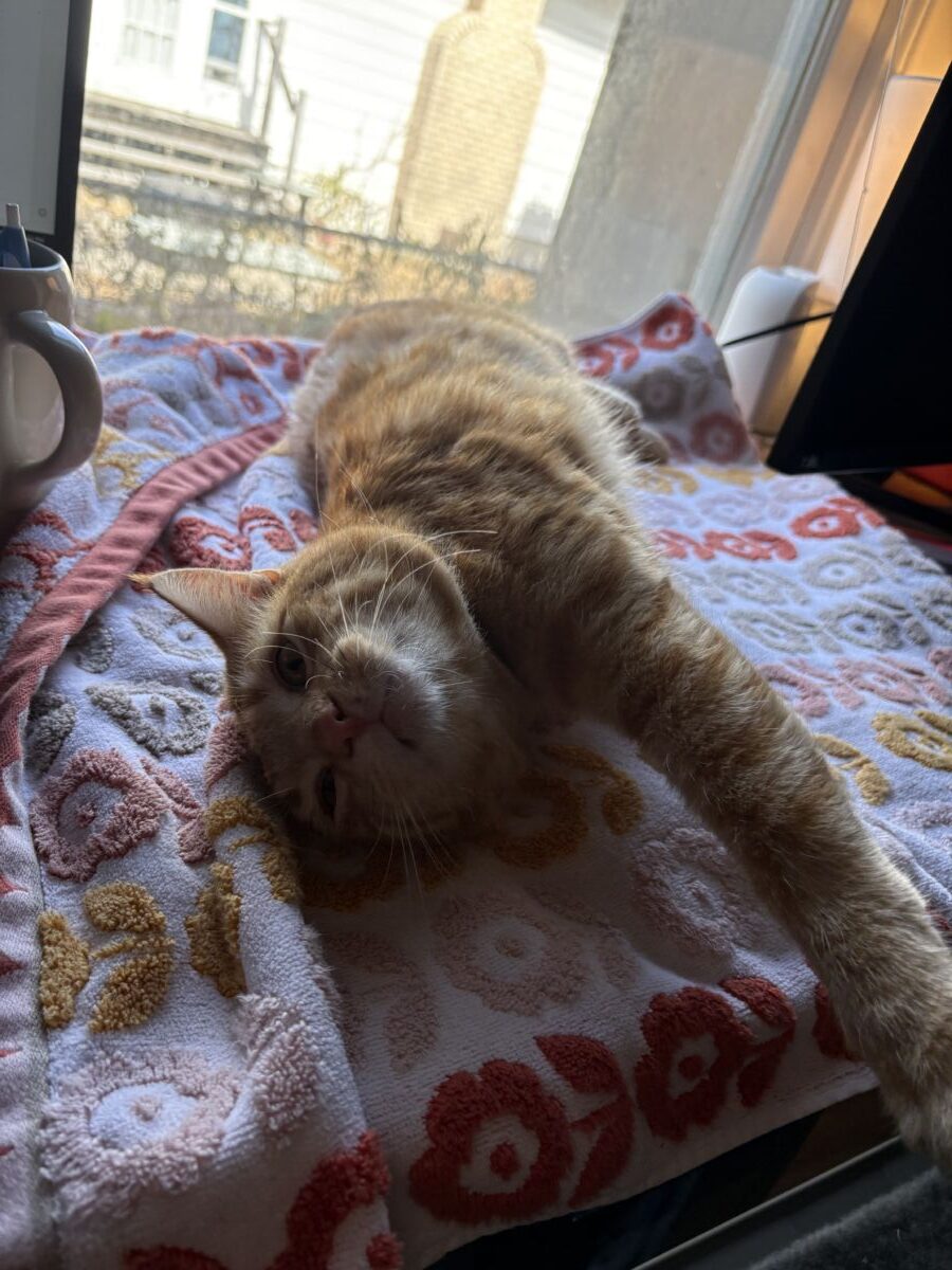 cf8f366IMG_94006995c0cfa3605