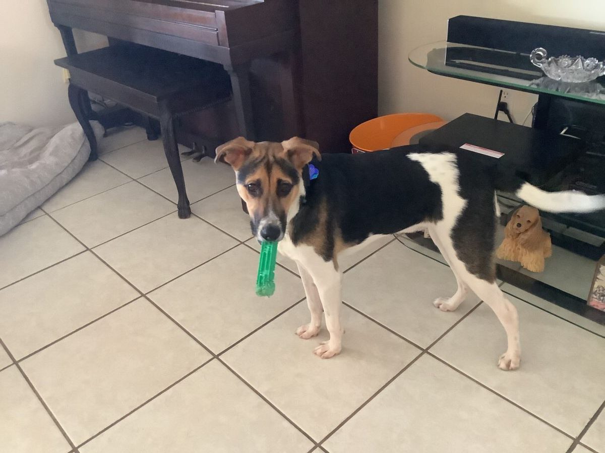 d6263d2IMG_01376989e0d63d780