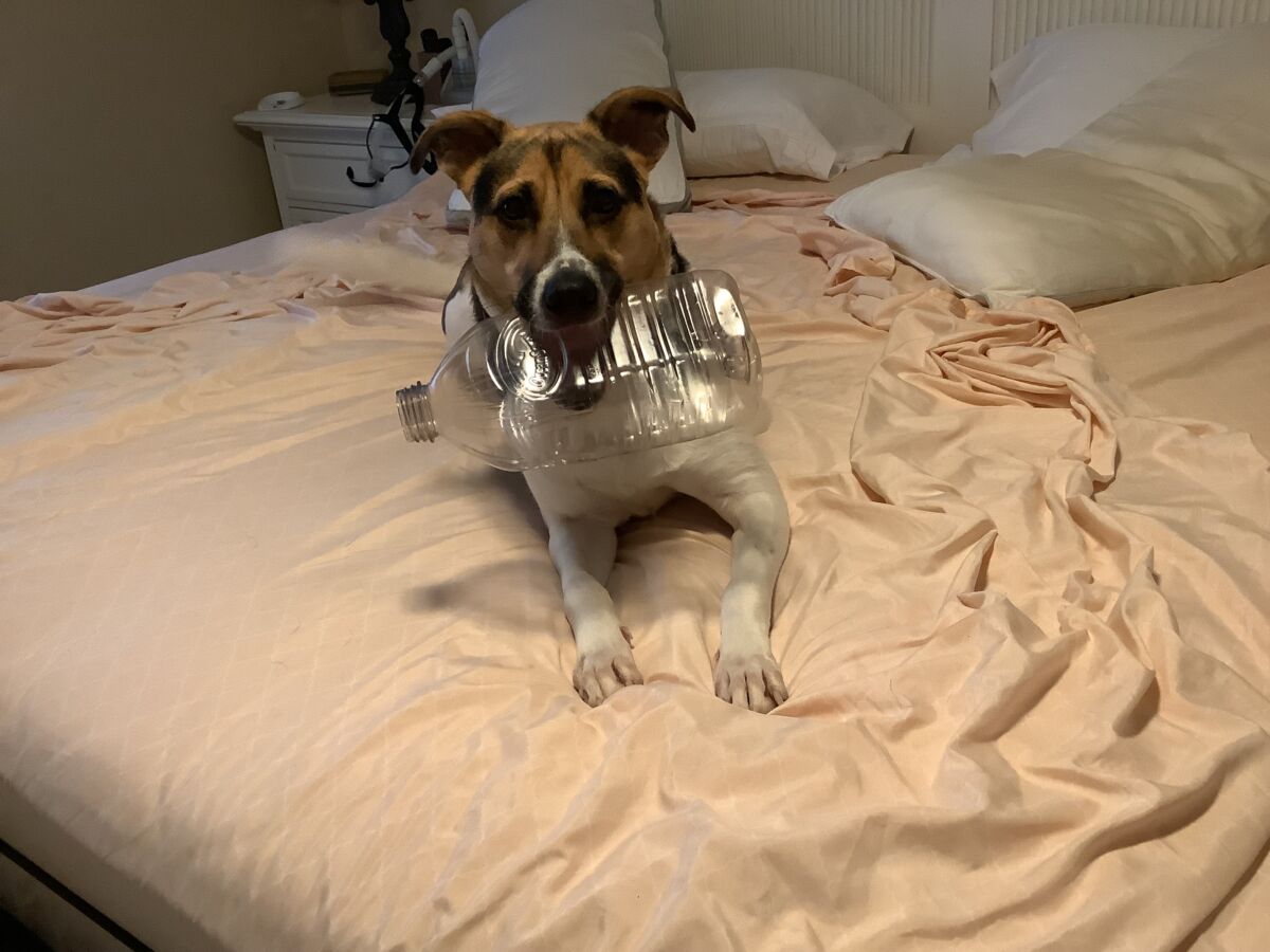 d692653IMG_02186989e0d69ec00