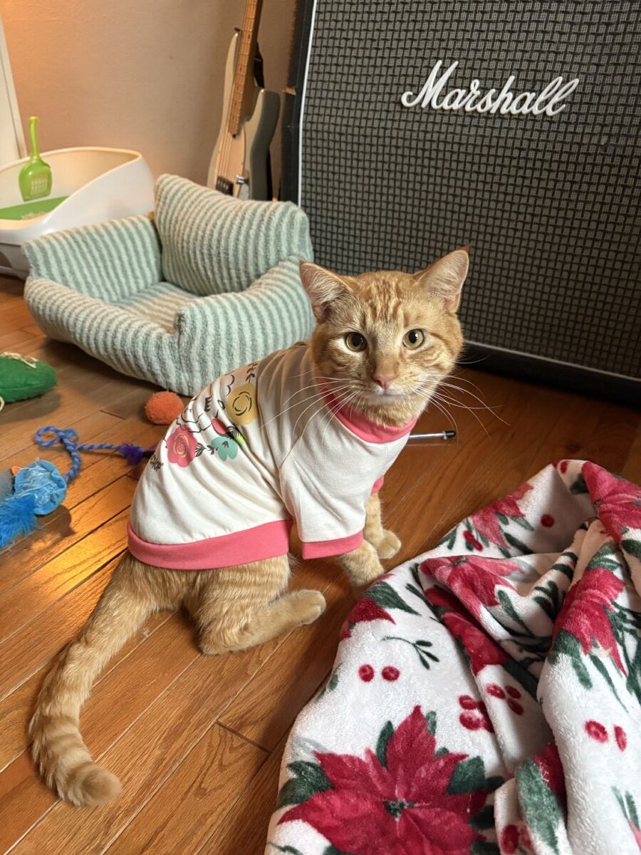 d7b5ab5IMG_93176995c0d7cc673