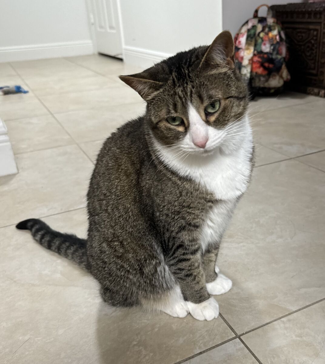 d7e4ee0IMG_3779698a08d7f0411