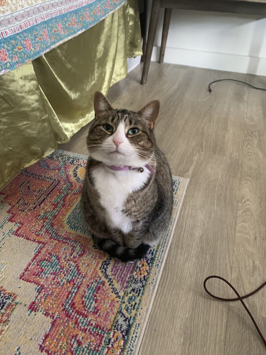 db1183f66179819016_F81E9776-B075-47F0-A365-273280CA5AC5698a08db2bcfe