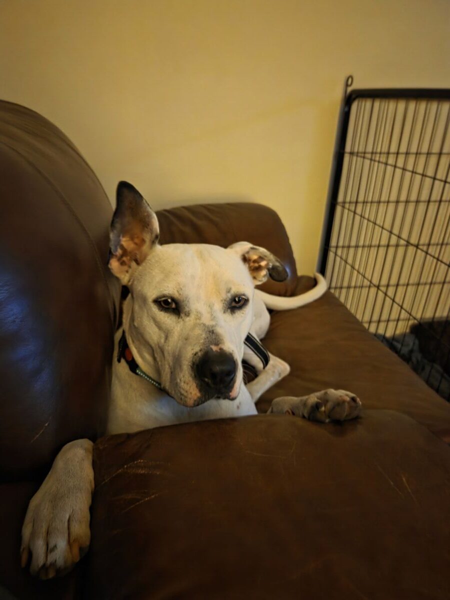 fa9ed6a20260116_18165769924efaaf498