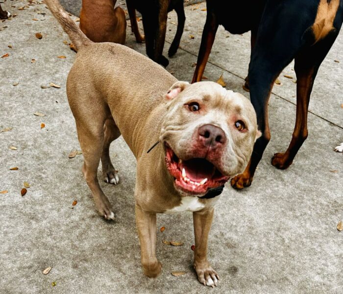 received_1444691707046769