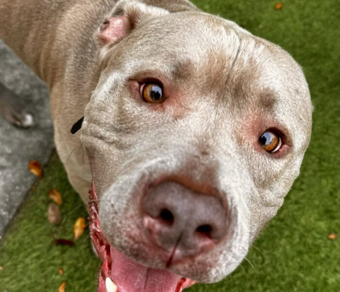 received_1476459754054711