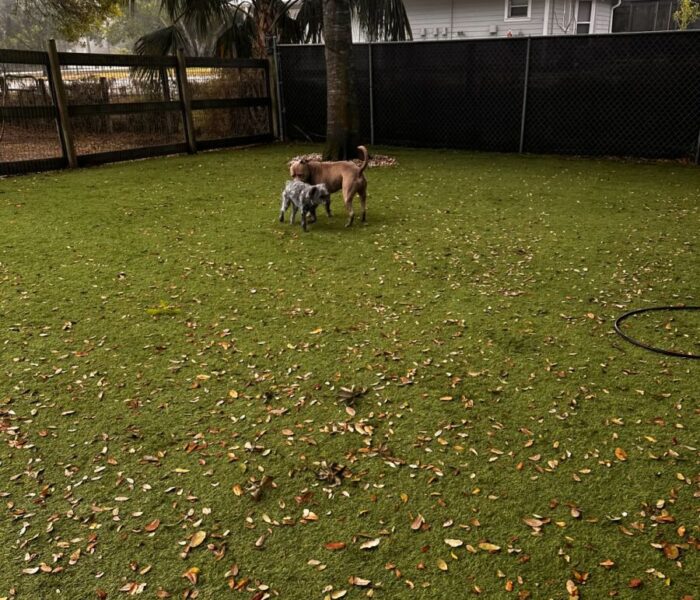 received_924605803278116