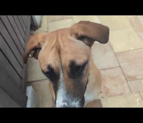 AQPiBUXFF xqm54P8Hv Dlu3LzDkGDMpoIzaU0JpLWvsSlQKfVTtJS0kCl1MpgZmXyP86wM34wvF z83kbj7QFaPJamRkVEsJ6Vl