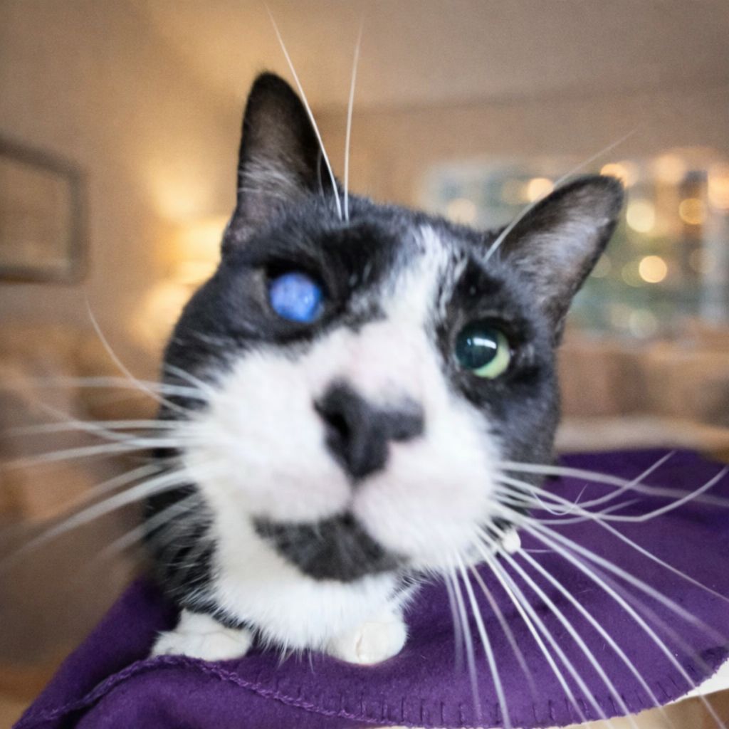 024E40DE-7EDD-40E2-8D8D-E7B757A45846