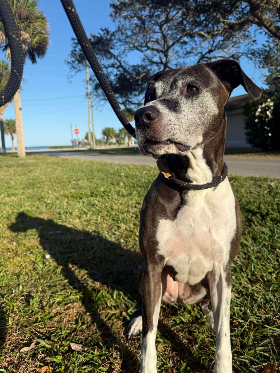 14ed20af688f70670fb0452e38a8c93f