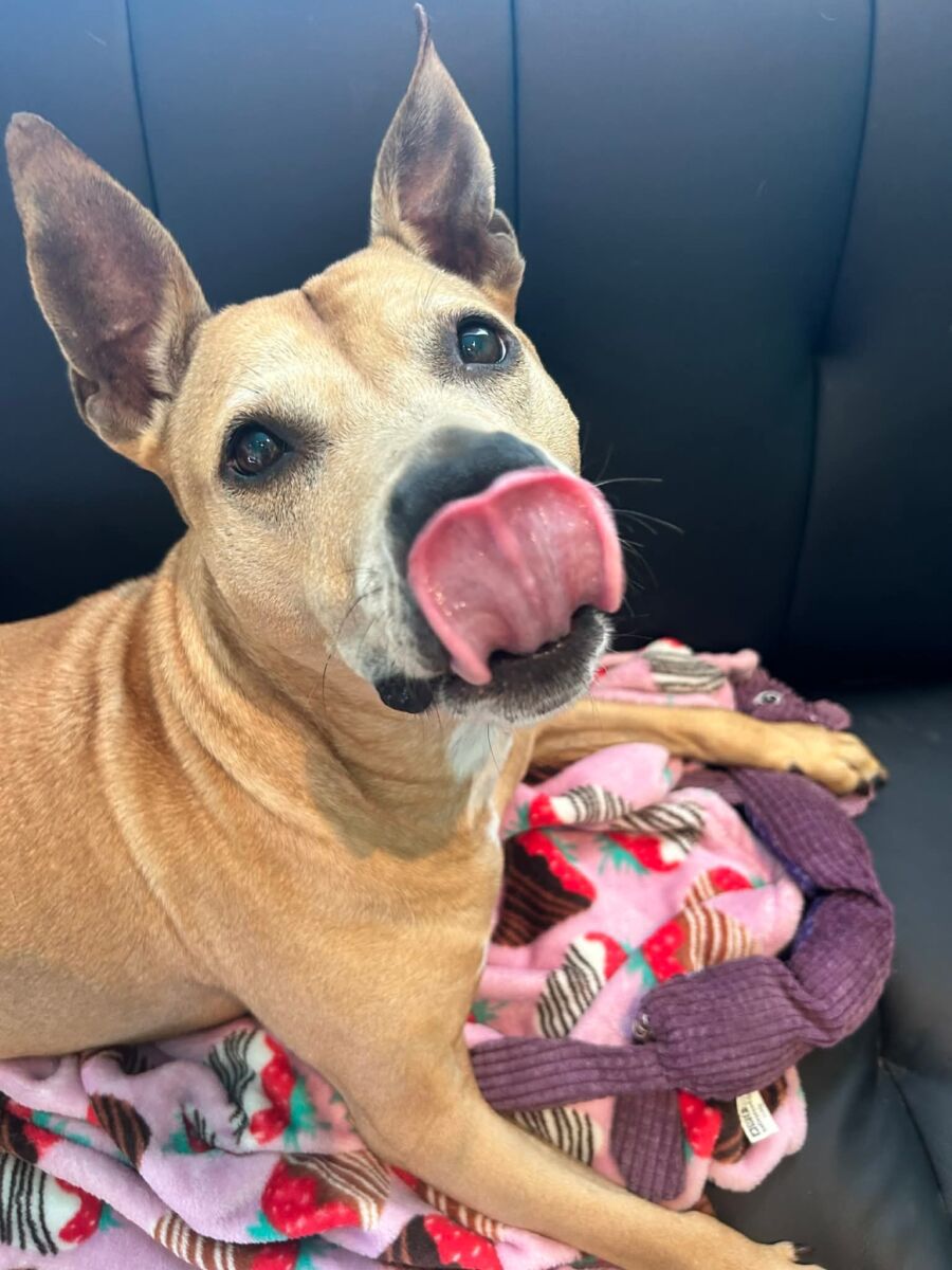 19751fd1426d110f1b495703aa742cf3