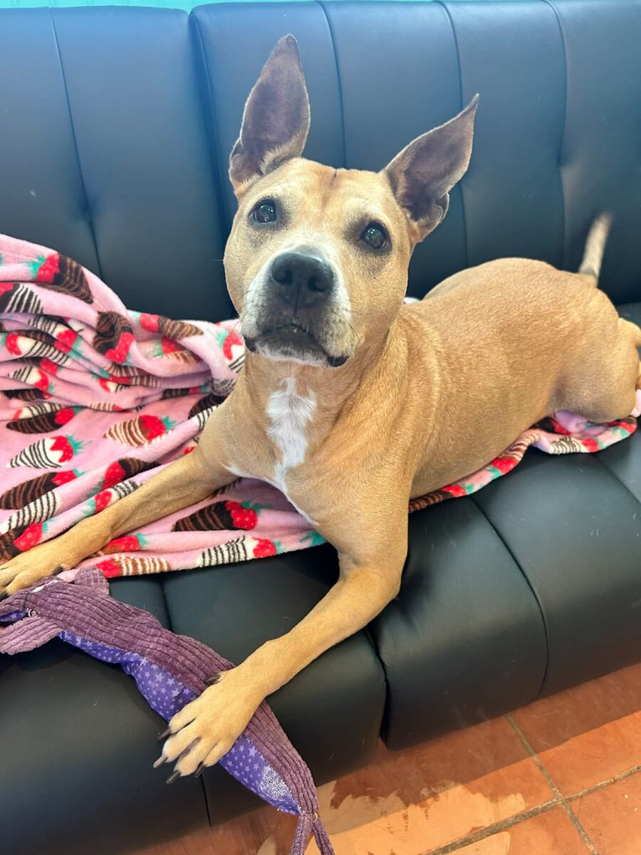 3999f0345f515df904c5d9c7d2499477