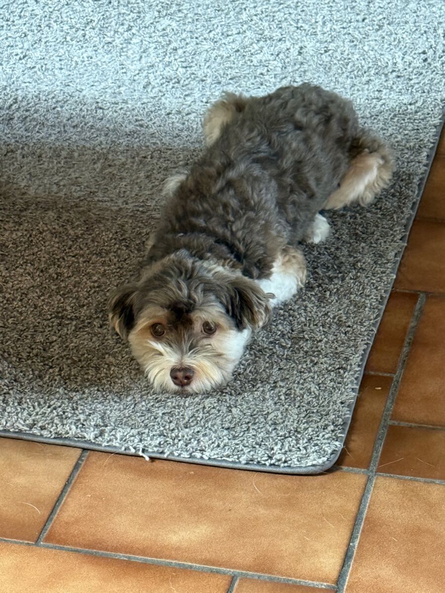 4323109IMG_254469a45043311df