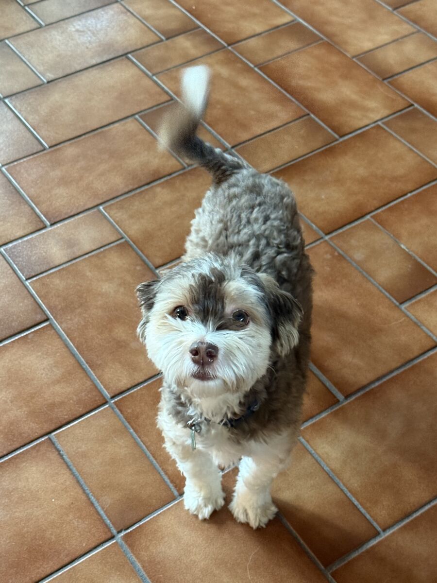 451f4dfIMG_254769a450452ca0c