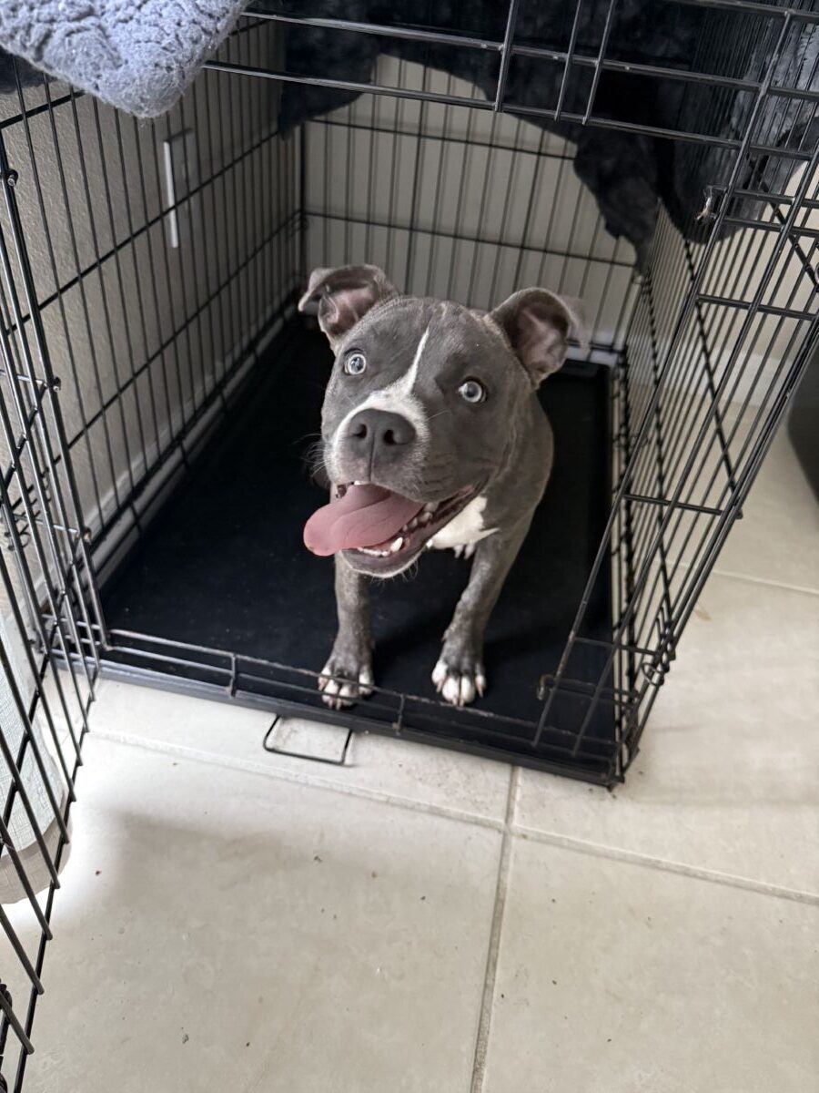 484746bIMG_829769a2e8485468a