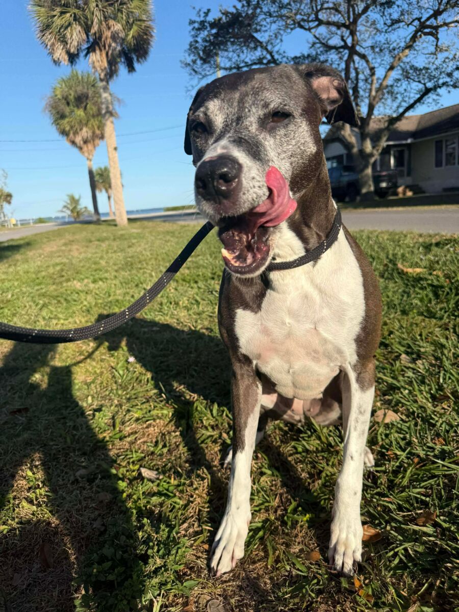 48f068a5fccdfd6083d3747e037bca0d