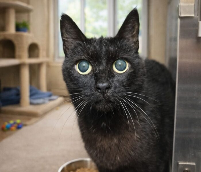 553E446B-EFA7-42C7-AE3E-552304B25BEB