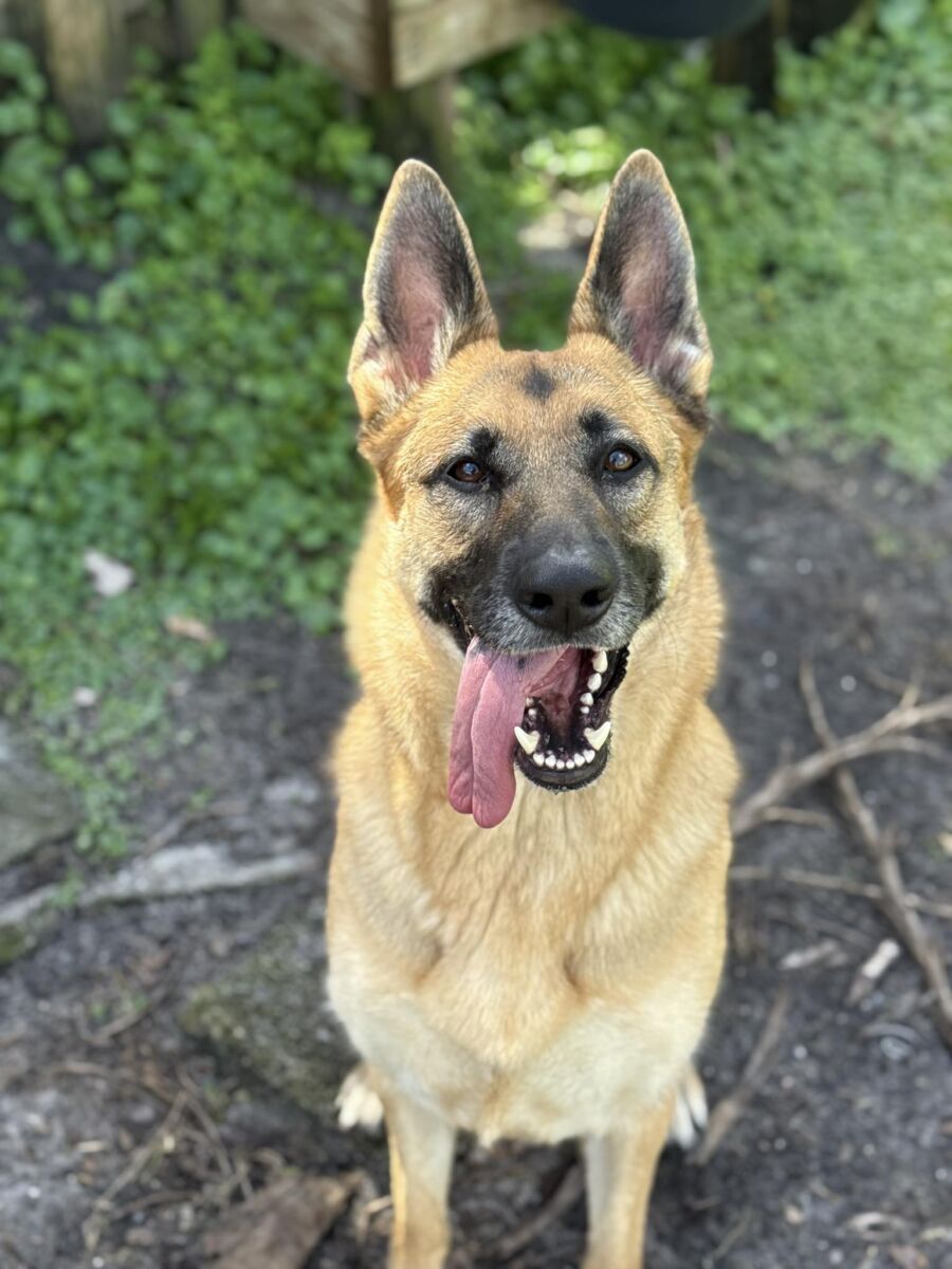 642092998_1252362999594768_1385683076513047199_n