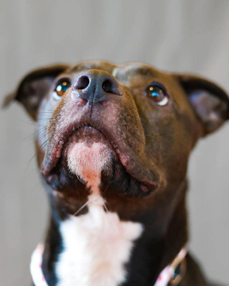 644262346_1381519957352723_3970423559926152252_n