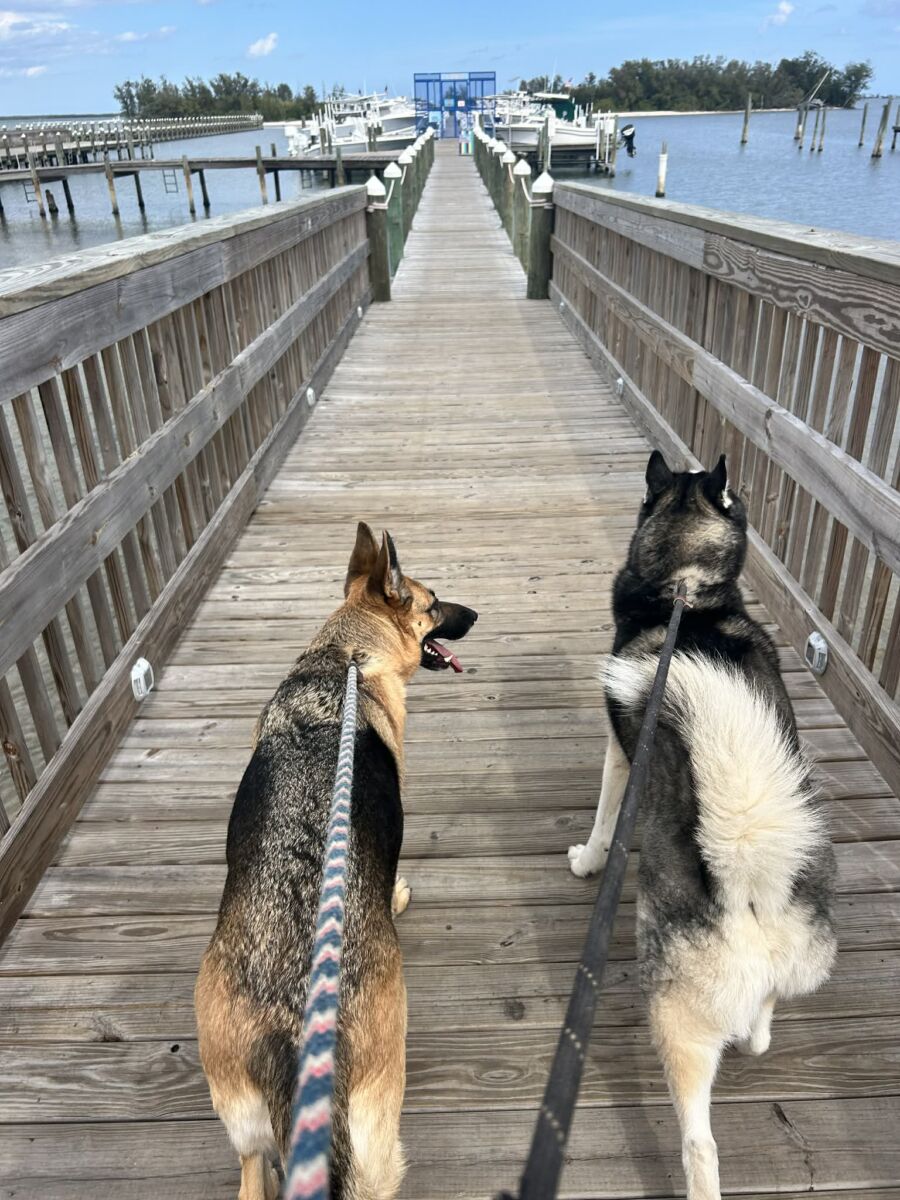 645933786_1243377901240426_6418725035907461286_n