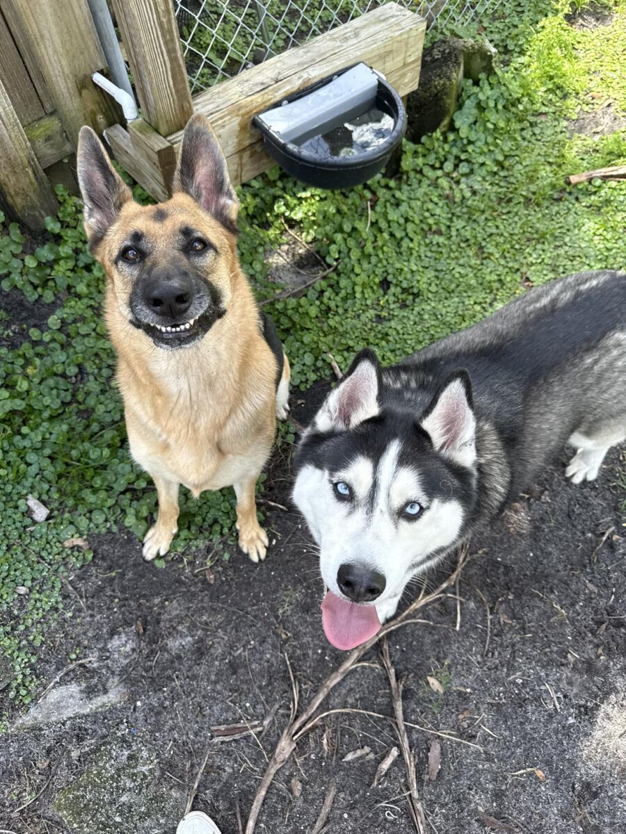 646798331_849475724816605_5321381403944165457_n