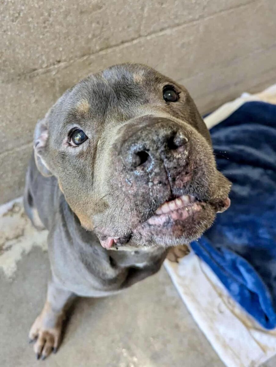 646899070_1444446607310432_4554117697137195088_n