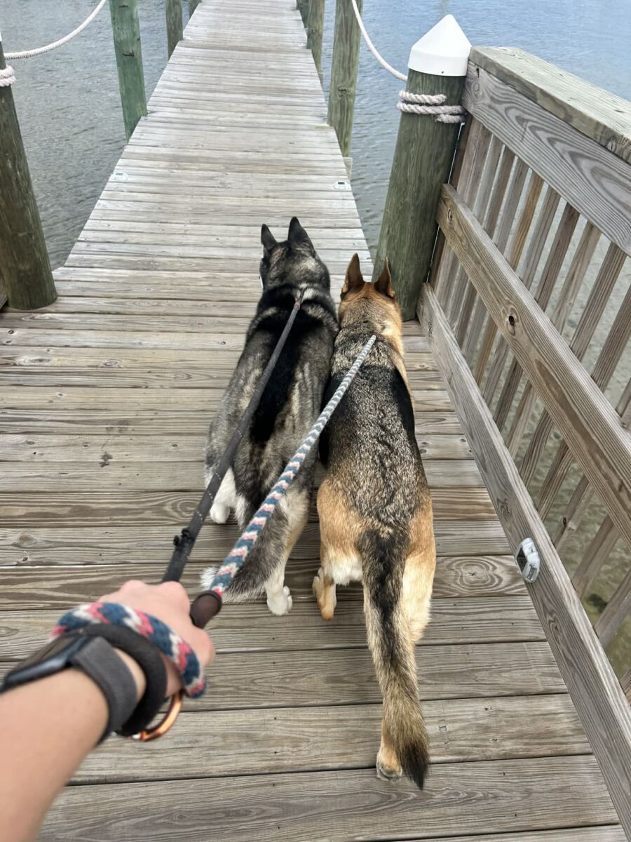 647024499_1263305995770948_3022012459147342215_n