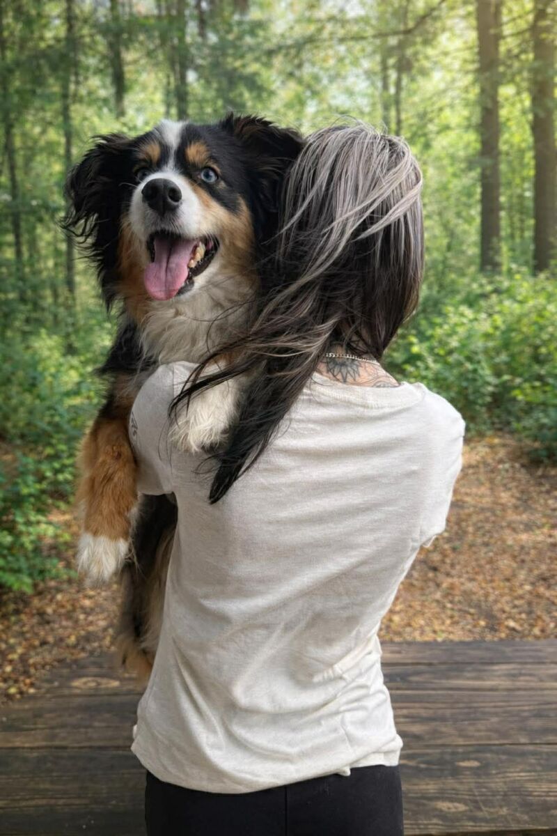 Woofstock Senior Dogs Rock Tee - Image 5