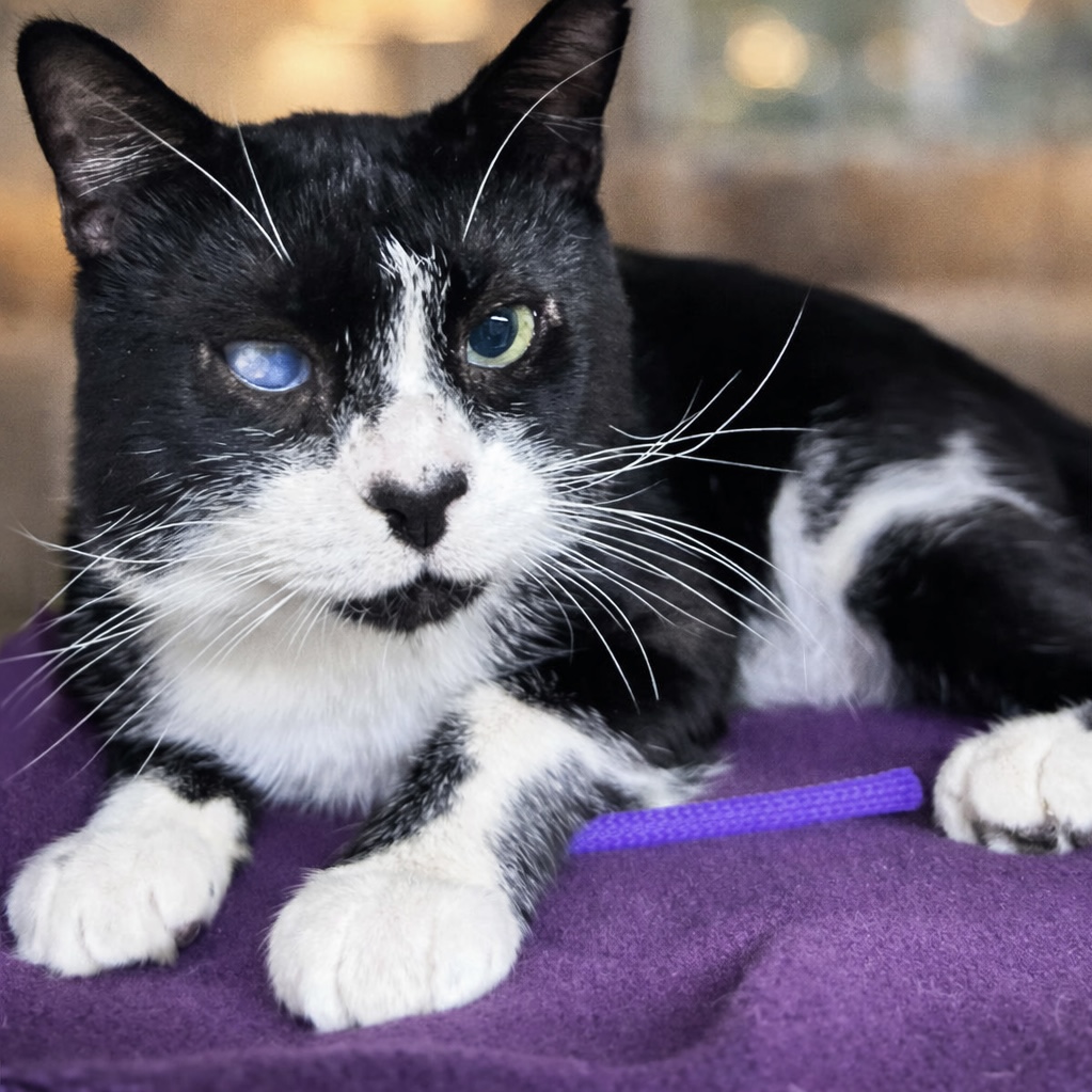 CA574336-3169-4B68-B0F2-6382410F6B6F