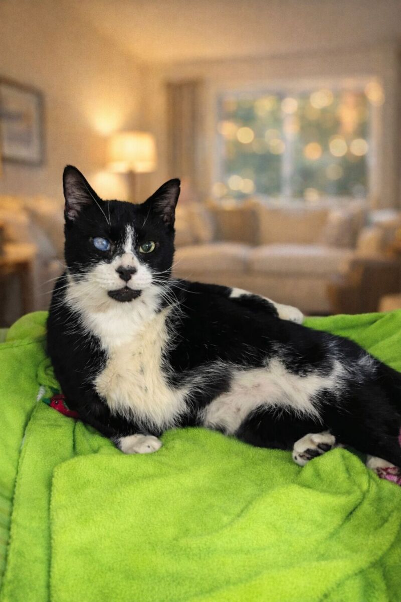 D16502DC-FC7E-46B4-B3AB-0E033FC15C2B