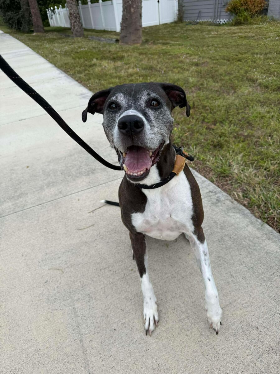 a4994d31d0f00a579efbda4b7a109daf