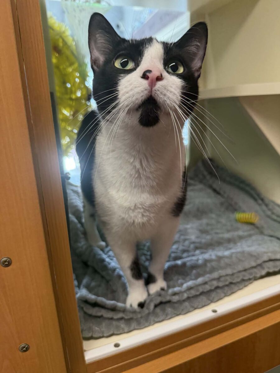 att.d9rVbzComnAUcBtiC67vcEiDfF7F3FAhFD5Px9LBgcA (1)