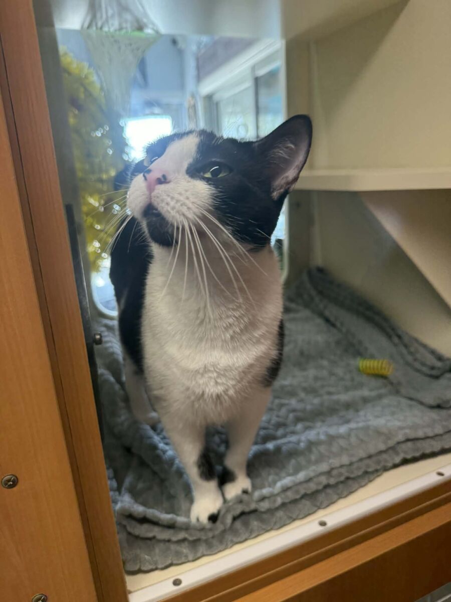 att.g4ihbgruNpONPQdPifWcQS6wRfLSRph6MYoNGJ6G7rM (1)