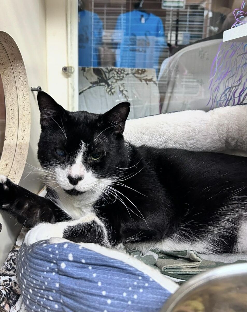 att.tRnfcHoWeHmuZDm1aLgNNvA-hXbz-vmxRFq0N_nscVw