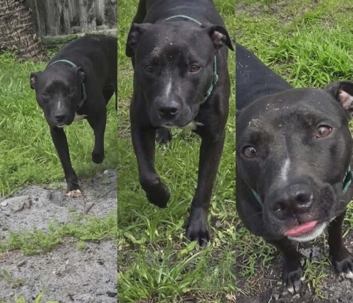 c268614f6264bff39c3b73fe6df397bd