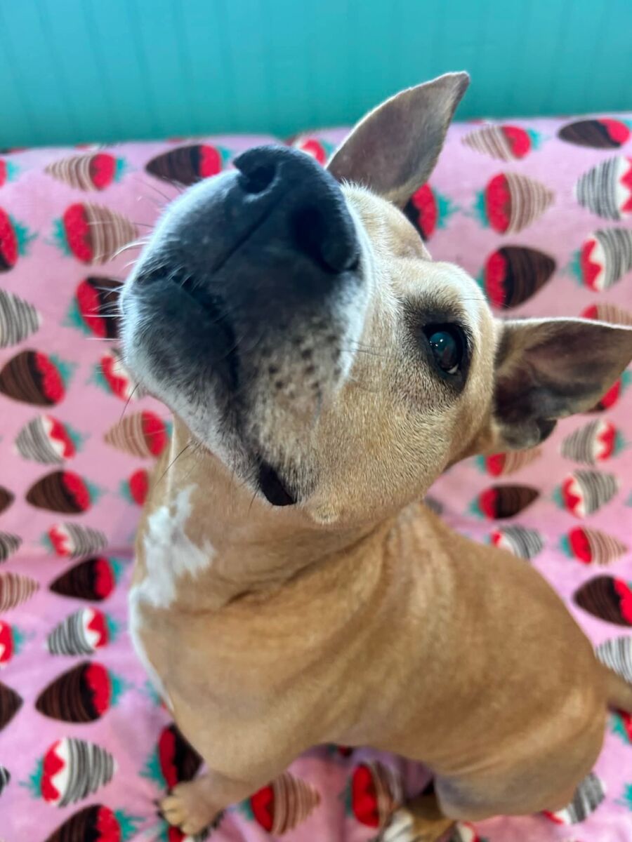 e6758812018e6d84ae0440b1b7f4f5ca