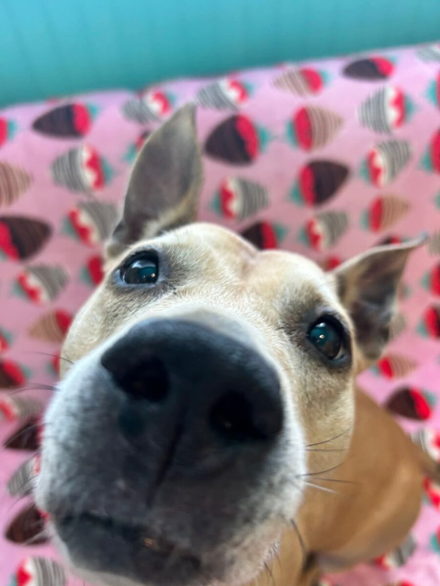 eeed49539d1678d60f866c0093b918a4