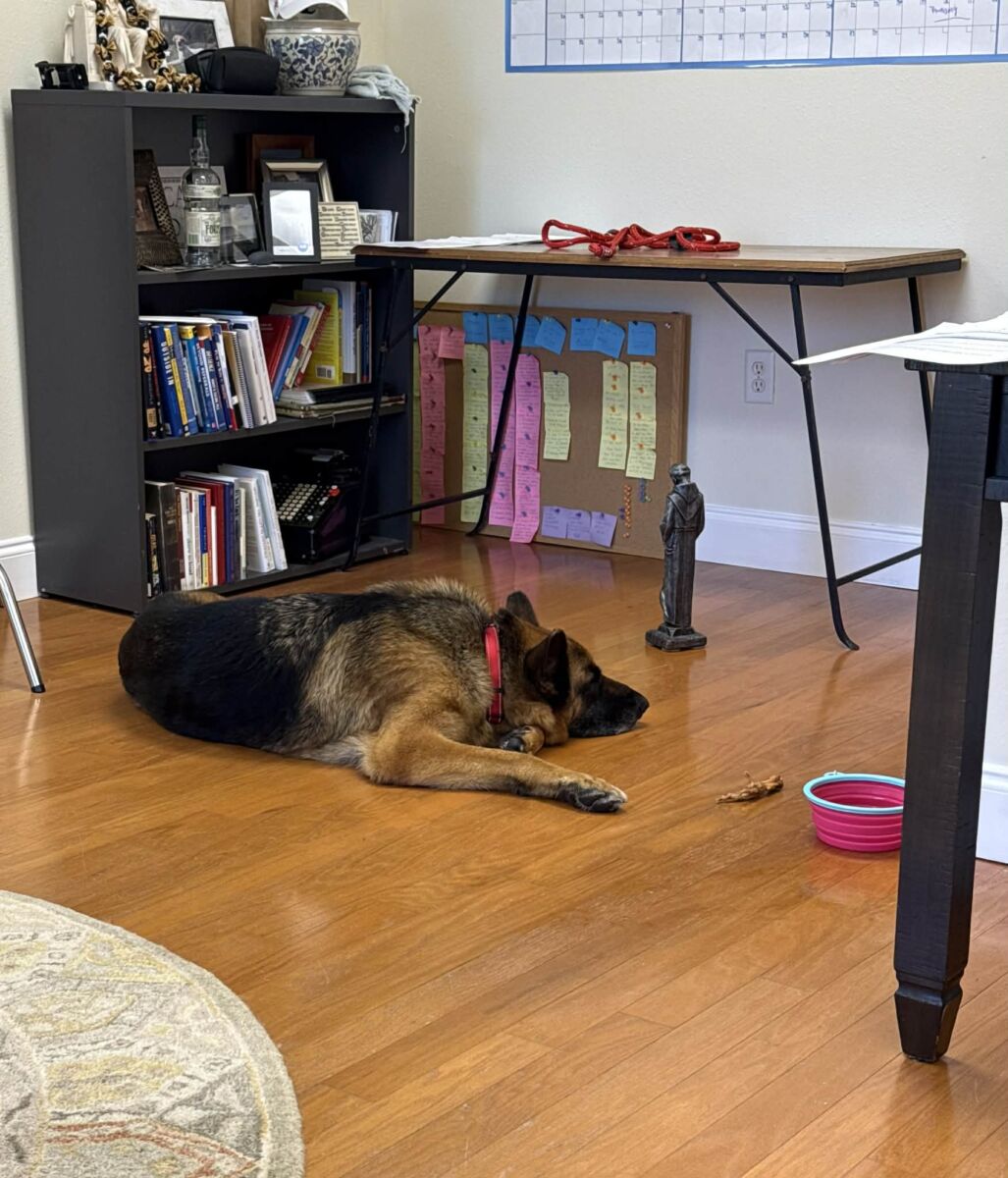 642566351_1107807114813055_2654732040406160763_n