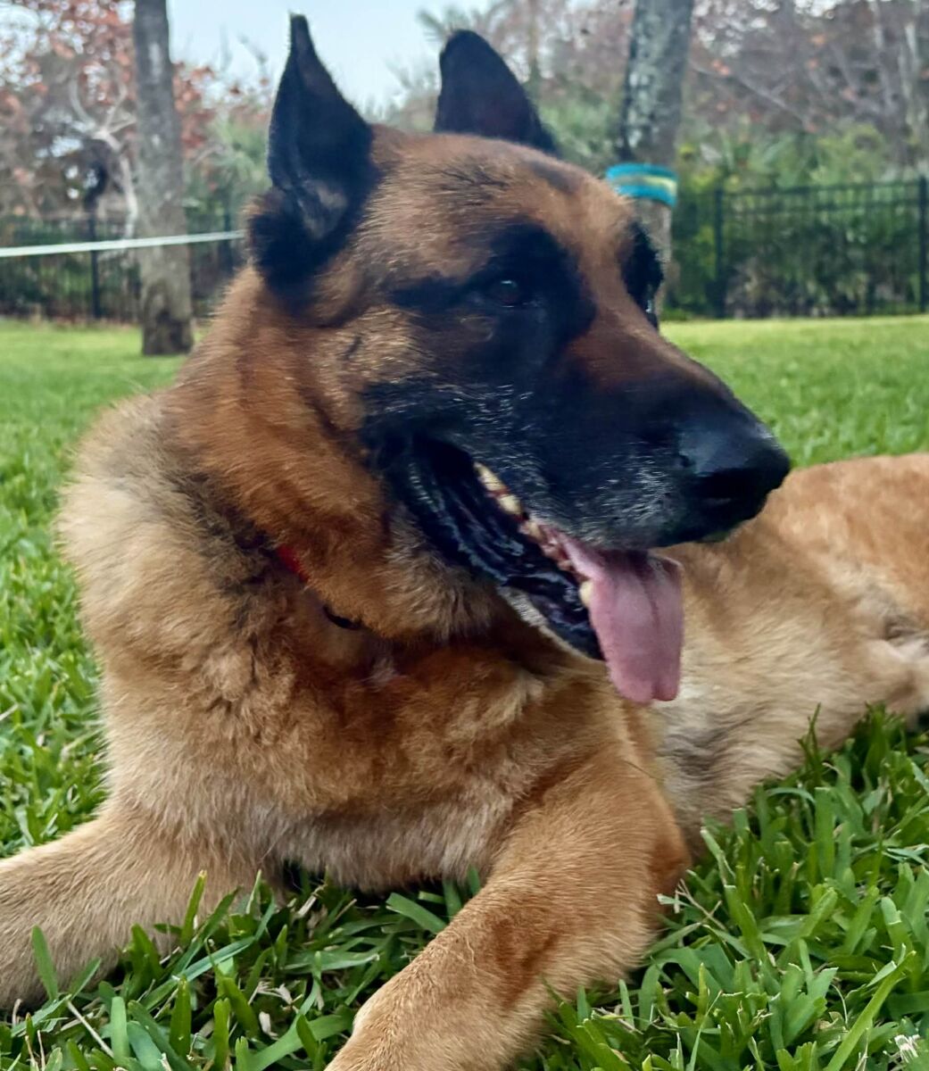 642722738_910480255079224_4032300662403831184_n