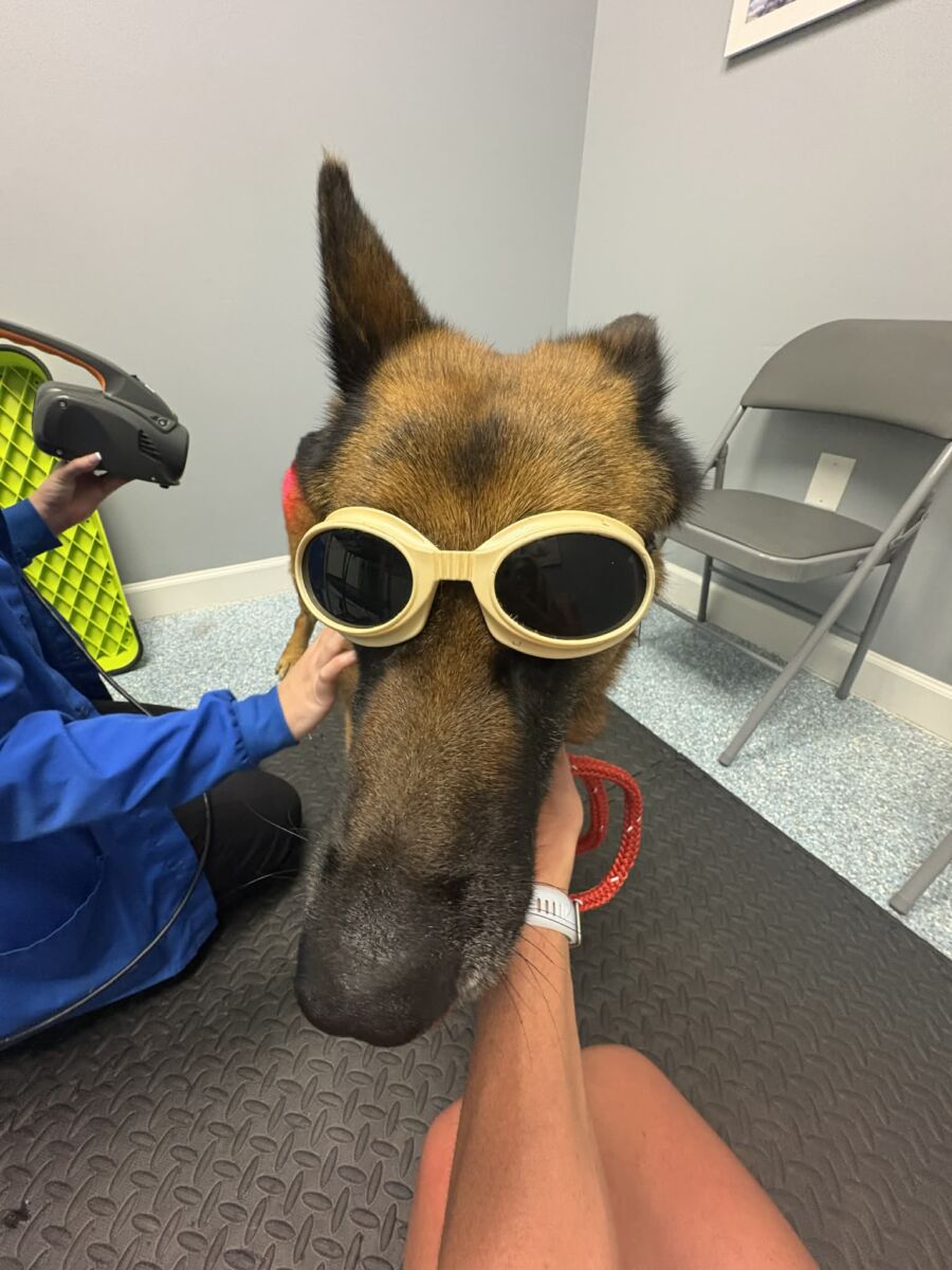 644729780_727428557002113_1539701744332129465_n