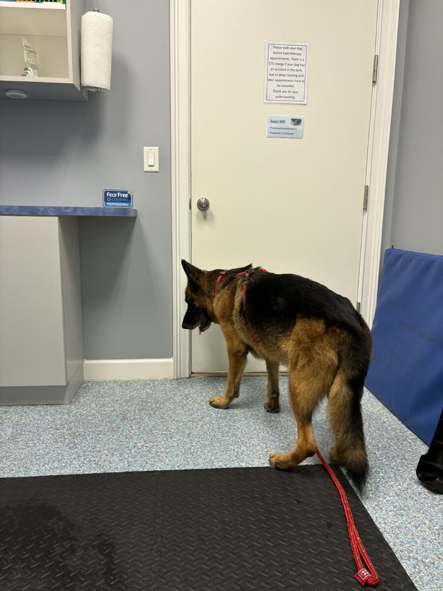 645986831_790080674148288_8312994379812932675_n